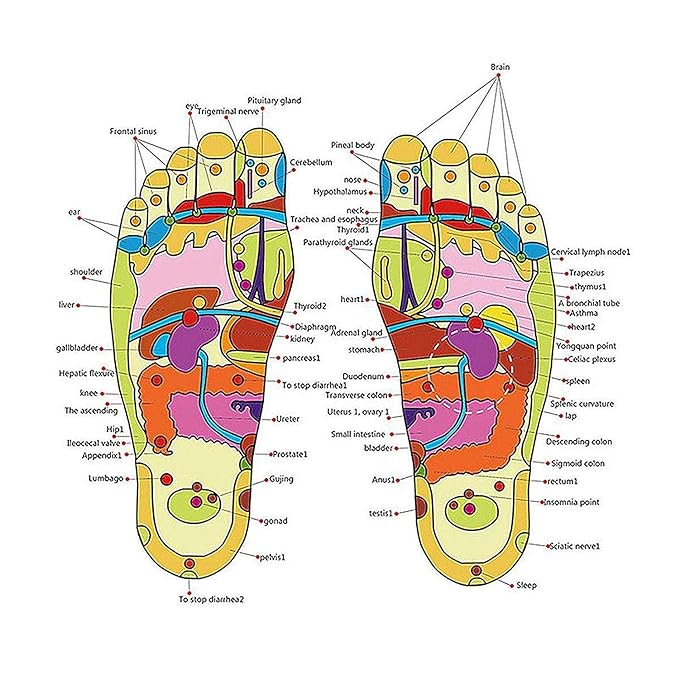 Natural Foot Slippers Massager – Acupressure Reflexology Sandal for Pain Relief